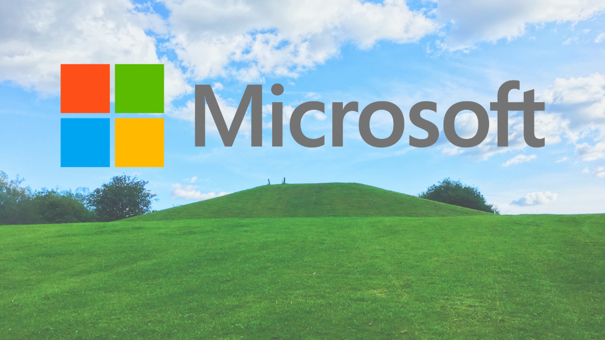 The background looks like some green wavy ground and a nice cloudy sky with a microsoft logo on it